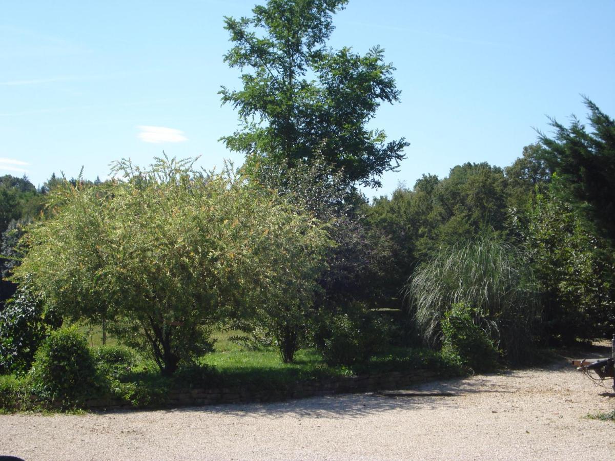 L'Oree Des Bois Dommartin-Les-Cuiseaux エクステリア 写真